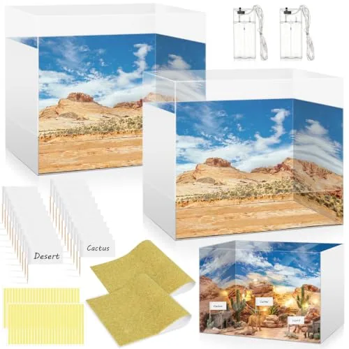 Folding Diorama Kit Project Supplies Display Case Cardboard, Multicolour